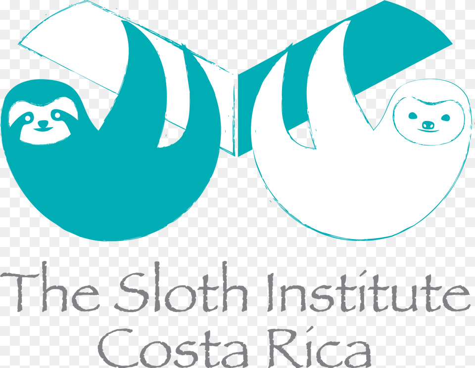 Sloth Institute Costa Rica, Logo, Face, Head, Person Free Transparent Png