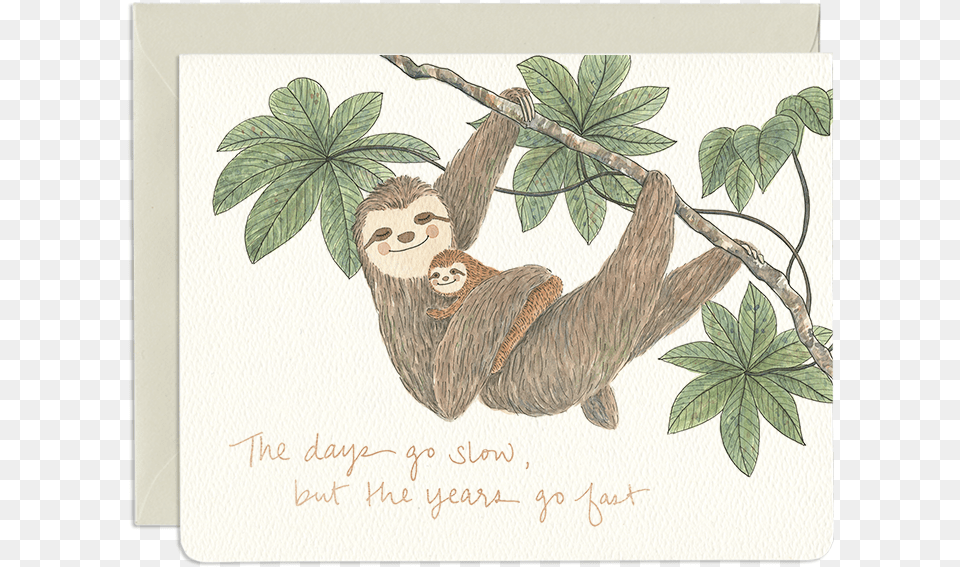 Sloth Mom Card Mother39s Day Card, Animal, Mammal, Wildlife, Three-toed Sloth Free Png Download