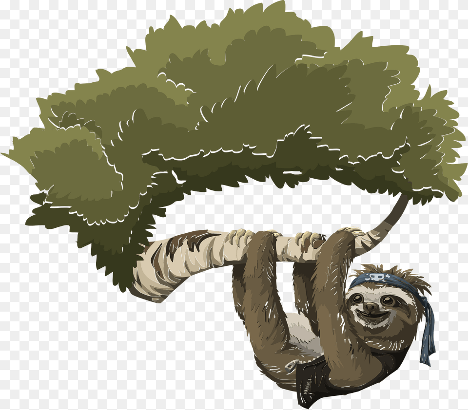 Sloth On The Tree Clipart, Animal, Mammal, Wildlife, Glove Png