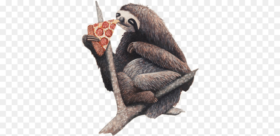 Sloth Pizza, Animal, Bird, Wildlife, Mammal Free Png