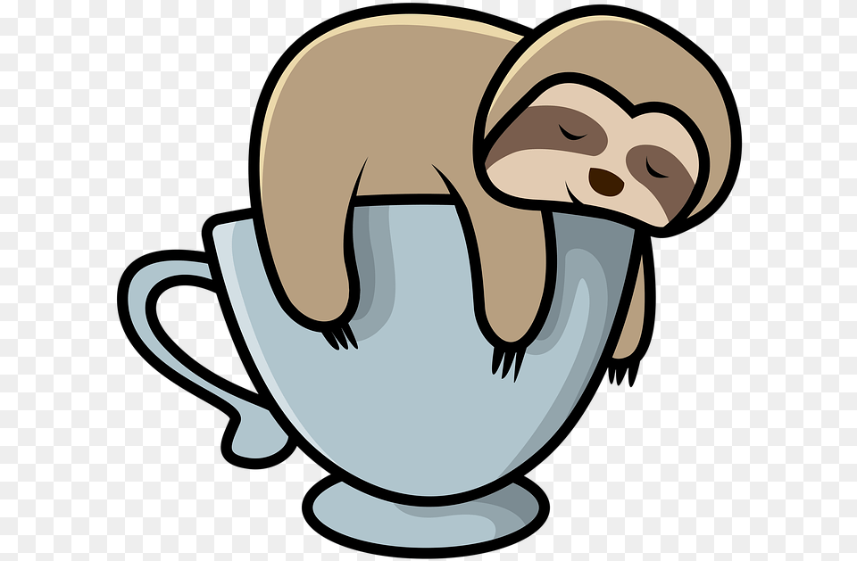 Sloth Sleeping Animal Image On Pixabay Cute Sloth, Cup, Mammal Png
