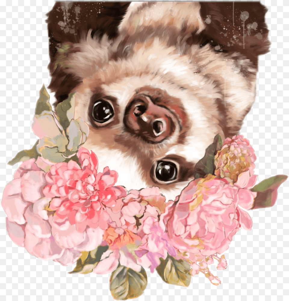 Sloth Sloths Flowers Slothlife Ftestickers Sloth With Flower Crown, Baby, Person, Animal, Mammal Free Transparent Png