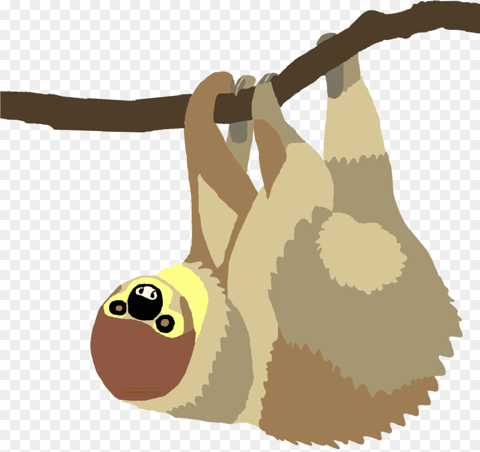 Sloth Species Distribution Map Clip Art, Animal, Mammal, Wildlife, Three-toed Sloth Free Png Download