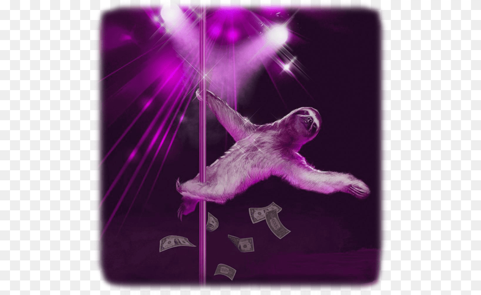 Sloth Stripping Stripper Sloth, Lighting, Purple, Animal, Mammal Free Transparent Png