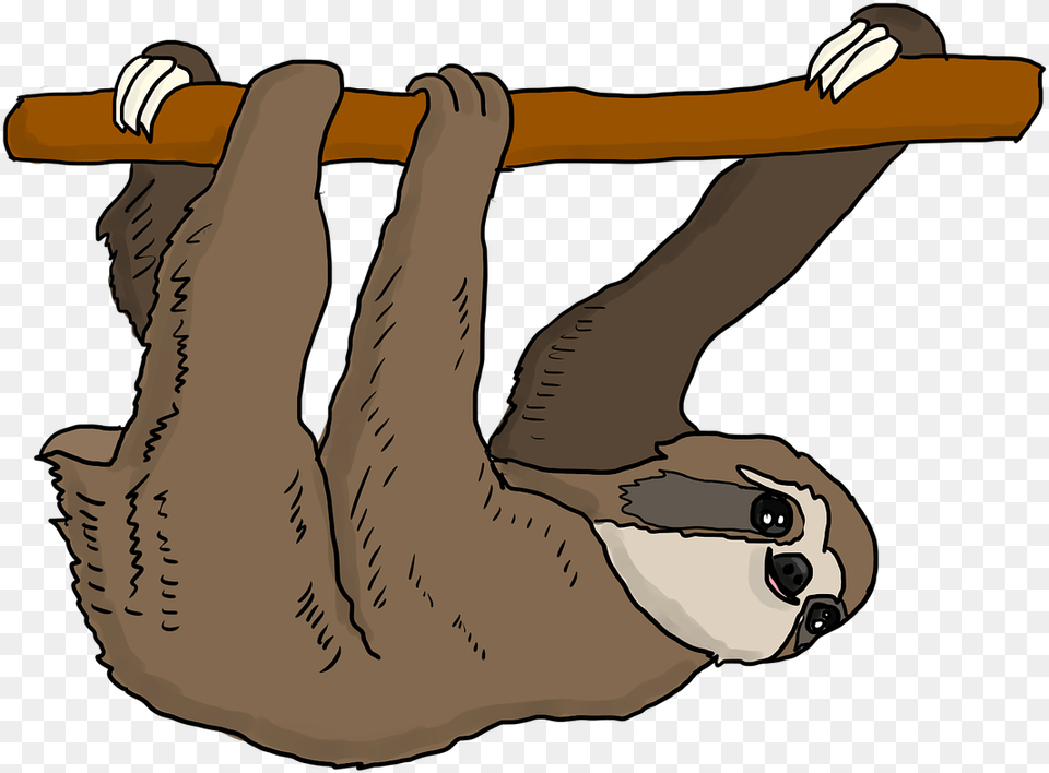 Sloth Tree Hanging Doesnt Matter How Slowly You Go As Long, Animal, Mammal, Wildlife, Person Free Png Download