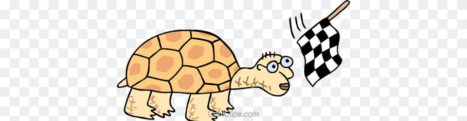 Slow And Steady Wins The Race Royalty Vector Clip Art, Animal, Reptile, Sea Life, Tortoise Png Image