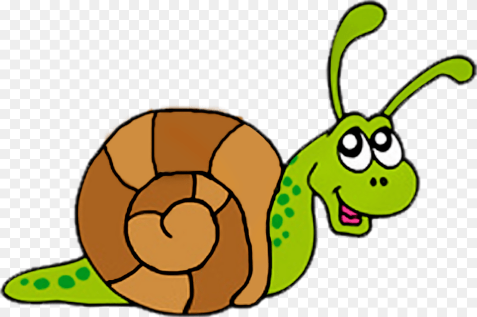 Slow Clipart Snail, Animal, Invertebrate, Person, Face Free Png