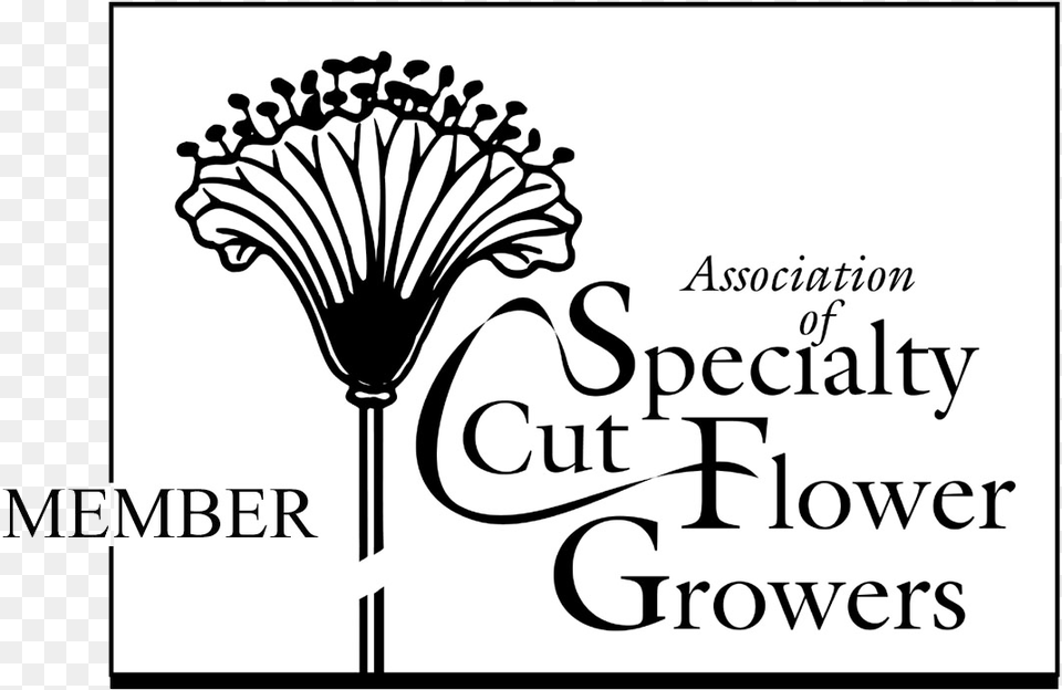 Slow Flowers Farmer Florist Collective Association Association Of Specialty Cut Flower Growers Logo, Calligraphy, Handwriting, Text, Plant Free Png