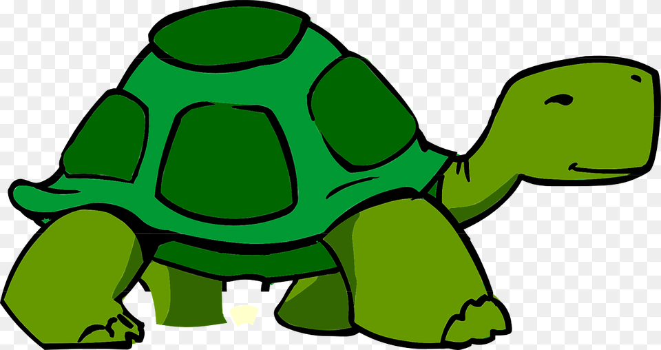 Slow Turtle Clipart, Animal, Reptile, Sea Life, Tortoise Free Transparent Png