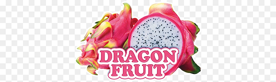 Slush Puppie Dragon Fruit Slushy Mix 275l Peacecountrycoffee Slush Puppie Dragon Fruit, Food, Plant, Produce Png Image