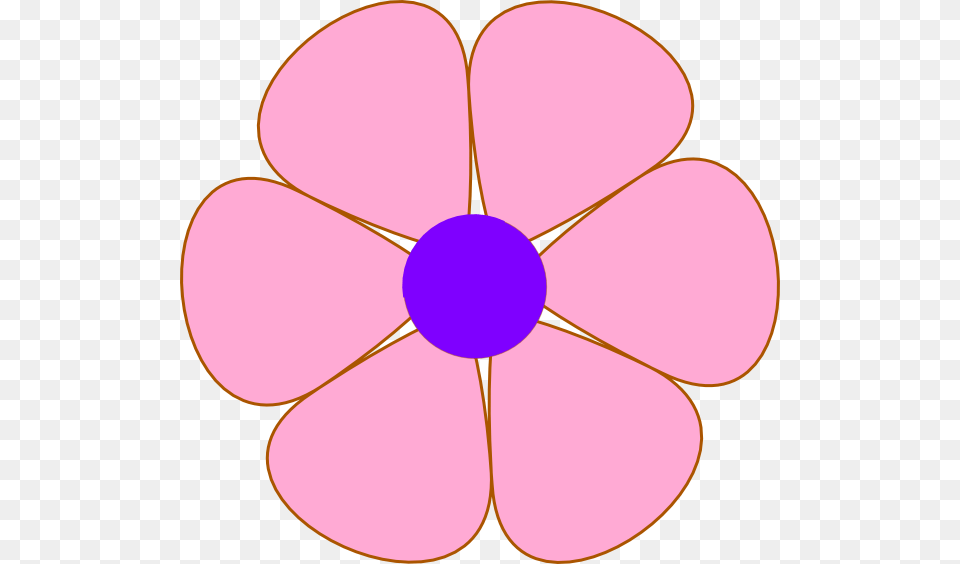 Small, Anemone, Daisy, Flower, Petal Png Image