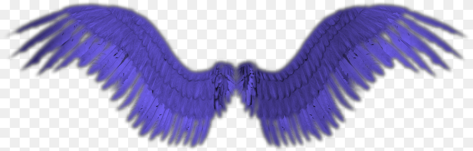 Small Angel Wings, Animal, Bird, Accessories, Vulture Free Png