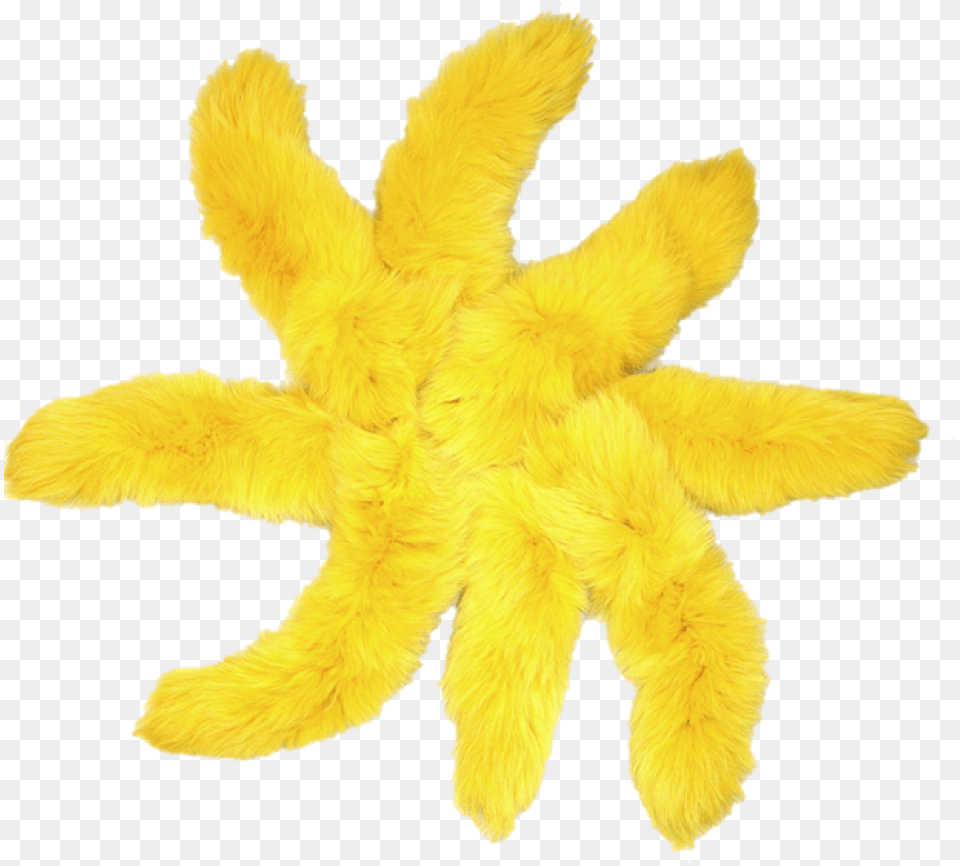 Small Animals Dyed Yellow Fox Tail Taxidermy Stuffed Toy, Plush Free Png Download