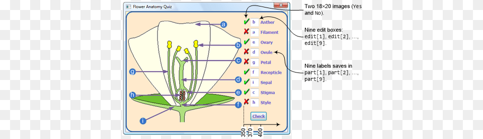 Small Basic Flower Anatomy Quiz Technet Articles United Screenshot, Chart, Plot, Anther, Plant Free Png Download