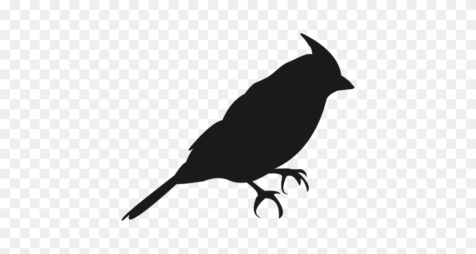 Small Bird Silhouette, Animal, Blackbird, Kangaroo, Mammal Free Png Download