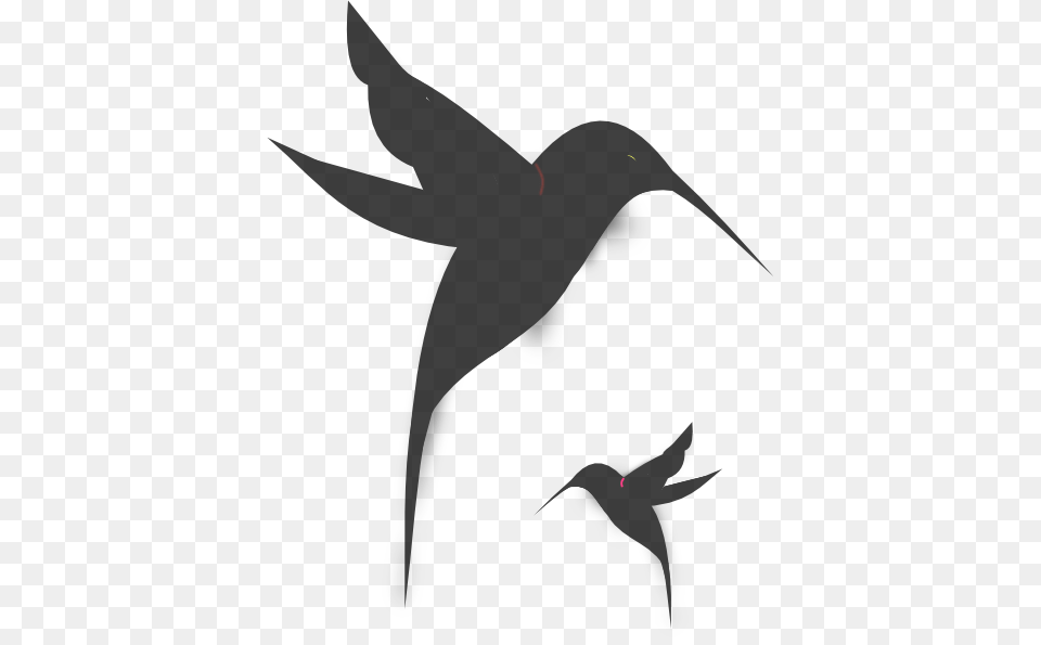 Small Black And White Hummingbird Tattoos Black Hummingbird, Animal, Bird, Blackbird, Silhouette Png Image