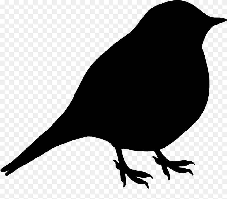 Small Black Silhouette Of Bird Sitting Bird Silhouette, Animal, Blackbird Png