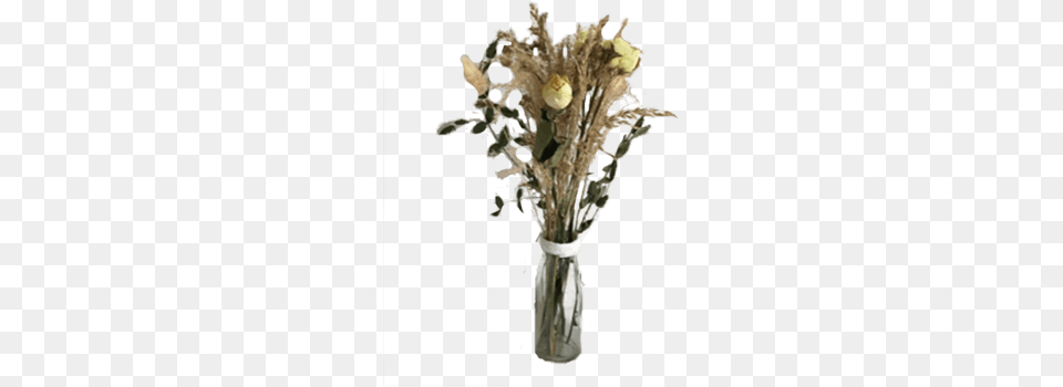 Small Bouquet Of Roses And Grasses Vase, Flower, Flower Arrangement, Flower Bouquet, Jar Png