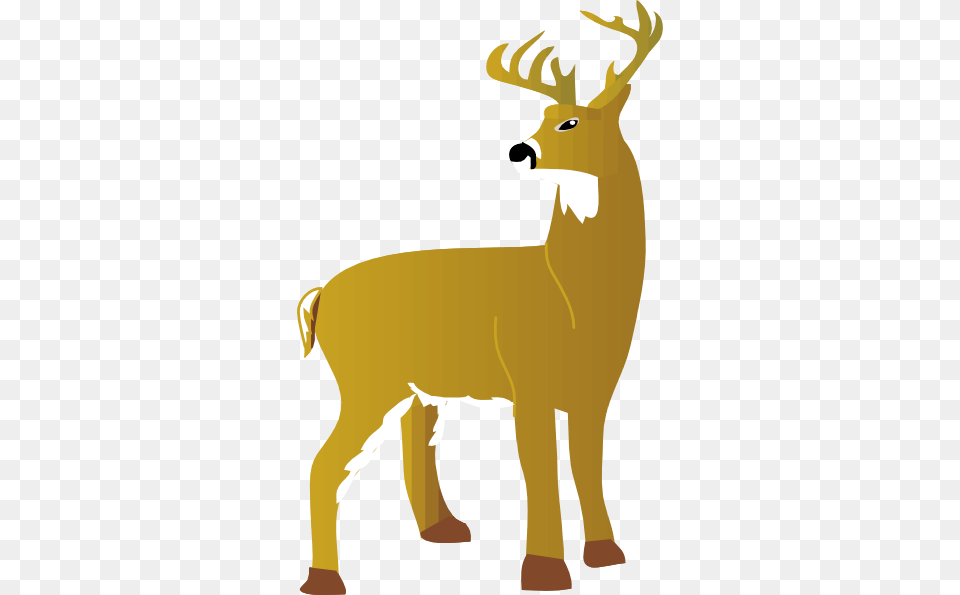 Small Cartoon White Tailed Deer, Animal, Mammal, Wildlife, Elk Free Png Download