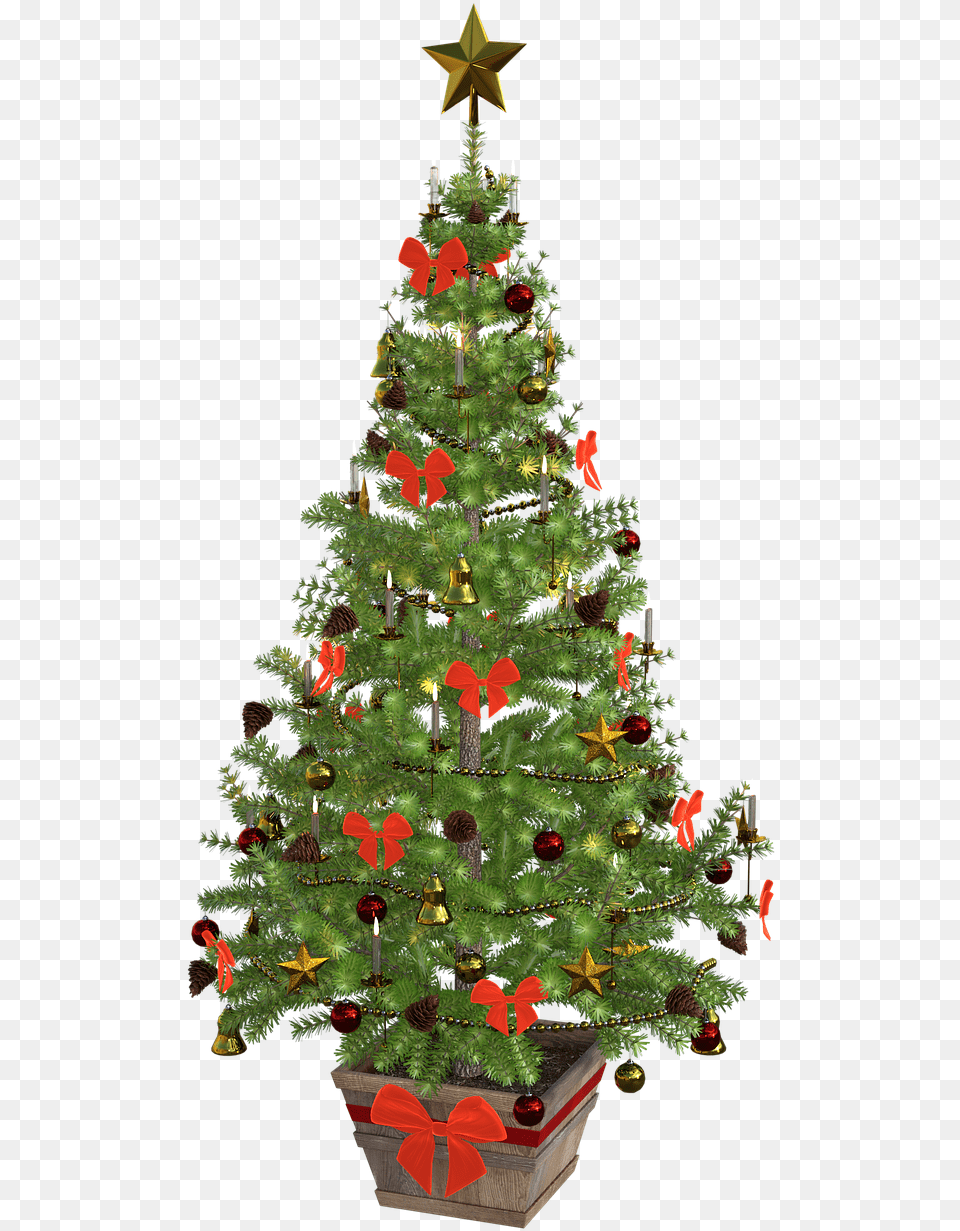 Small Christmas Tree, Plant, Christmas Decorations, Festival, Christmas Tree Png Image