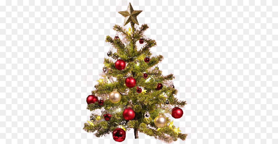 Small Christmas Tree Transparent Backgro Transparent Christmas Tree Hd, Christmas Decorations, Festival, Christmas Tree, Plant Free Png Download