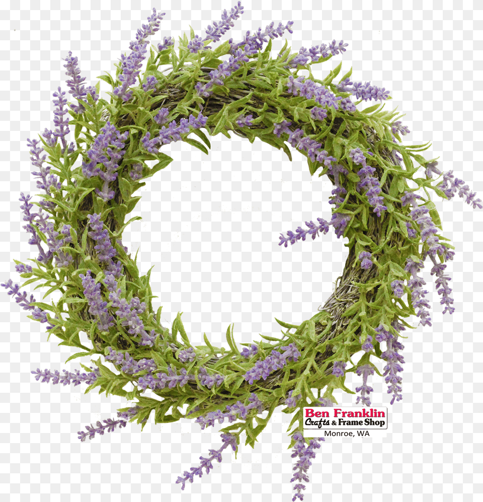 Small Christmas Wreaths For Windows, Flower, Plant, Wreath Png