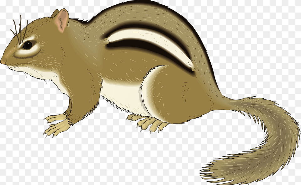 Small Clipart, Animal, Mammal, Rodent, Squirrel Png