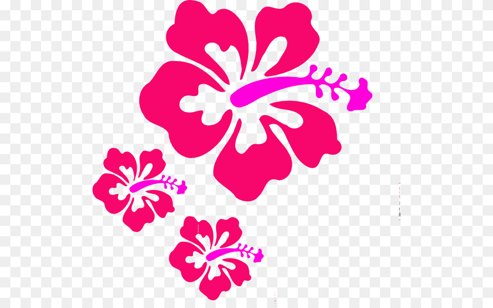 Small Clipart Hibiscus, Flower, Plant Png Image