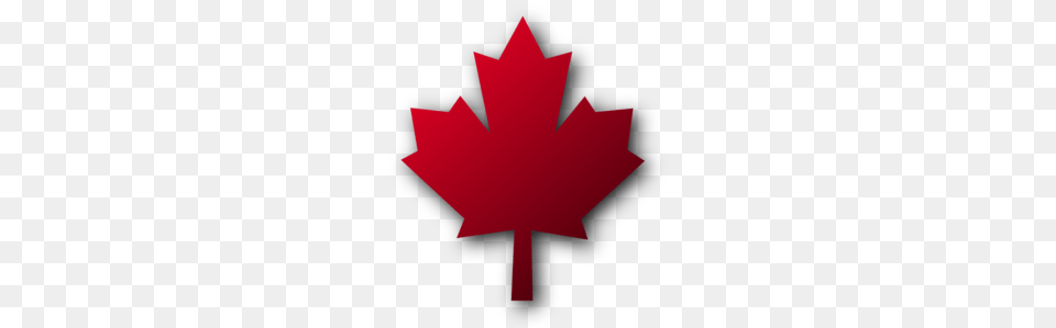 Small Clipart Maple Leaf, Plant, Maple Leaf, Cross, Symbol Free Png