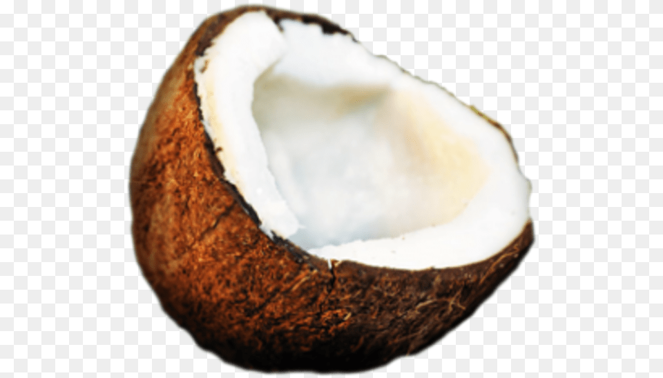 Small Coconut Ico, Food, Fruit, Plant, Produce Free Png