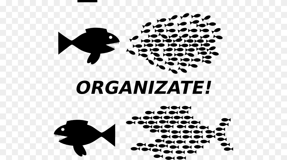 Small Community Organizing, Silhouette, Stencil, Animal, Fish Png Image