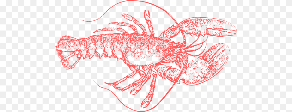 Small Crabs And Lobster Drawings, Food, Seafood, Animal, Sea Life Free Png