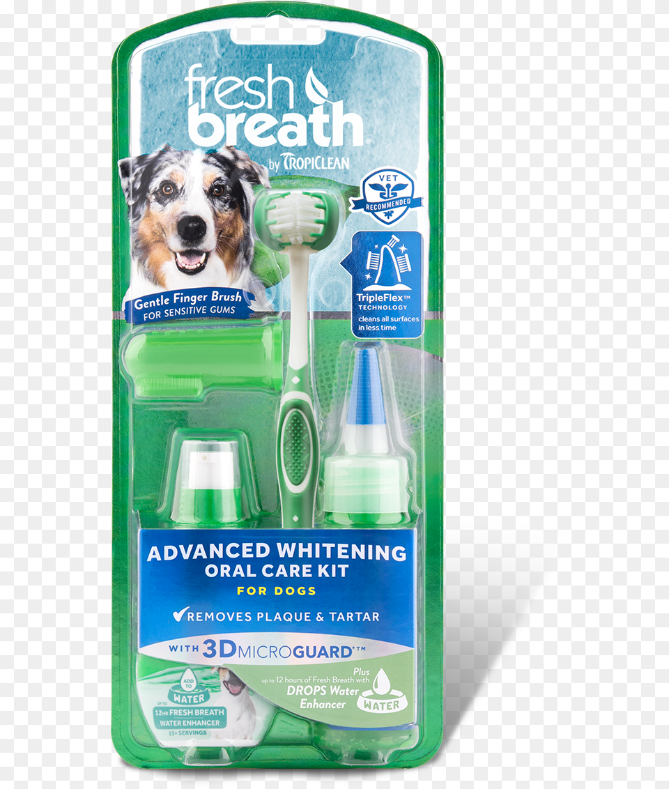 Small Dog, Device, Tool, Brush, Toothbrush Free Png