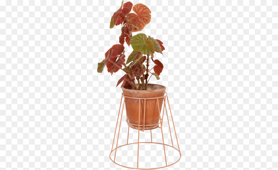 Small Dusty Peach Plant Stand, Vase, Pottery, Potted Plant, Planter Png Image