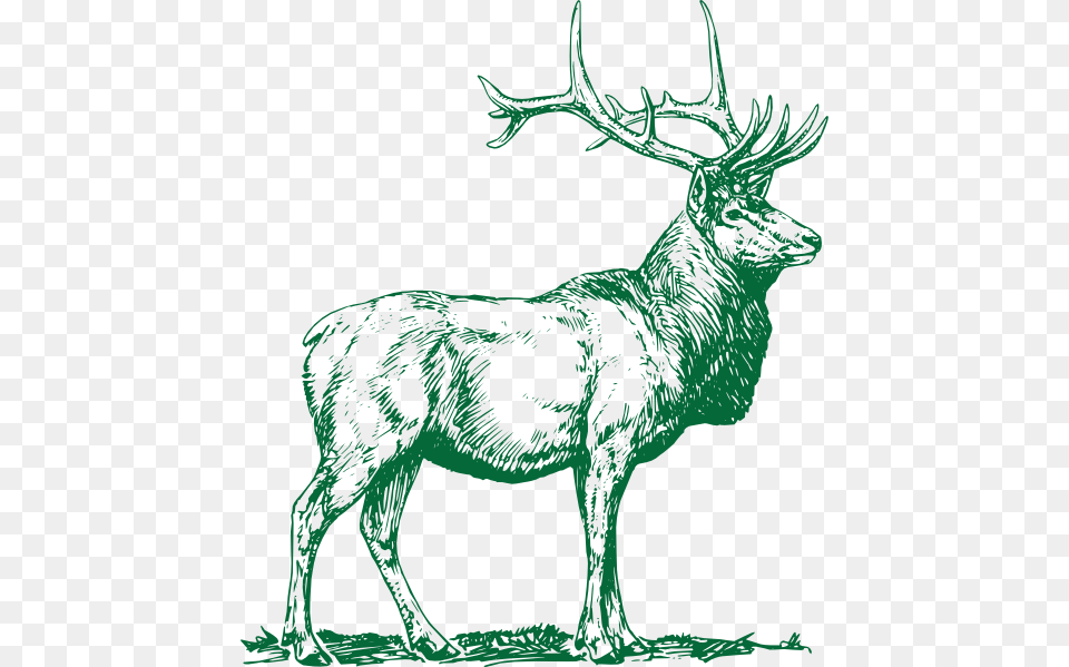 Small Elk Vector, Animal, Deer, Mammal, Wildlife Free Png