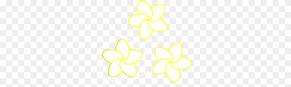 Small Feliz Nochecita, Daffodil, Flower, Plant Png Image