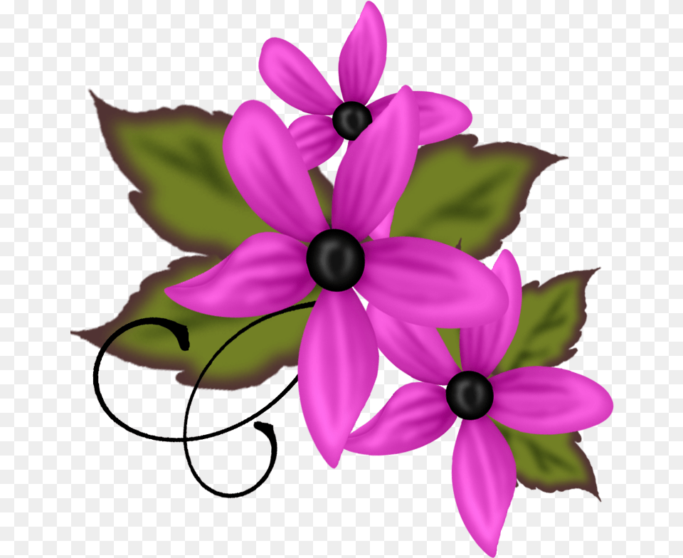 Small Flower, Anemone, Plant, Pattern, Graphics Png