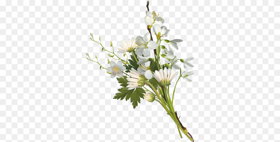 Small Flower Bokeh, Flower Arrangement, Flower Bouquet, Plant, Pollen Free Png