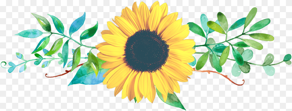 Small Flower Bouquet Delivery Gambar Desain Bunga Matahari, Plant, Sunflower Free Transparent Png