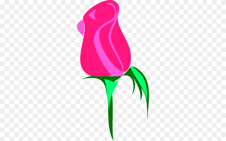 Small Flower Clip Art, Plant, Rose, Adult, Female Free Transparent Png