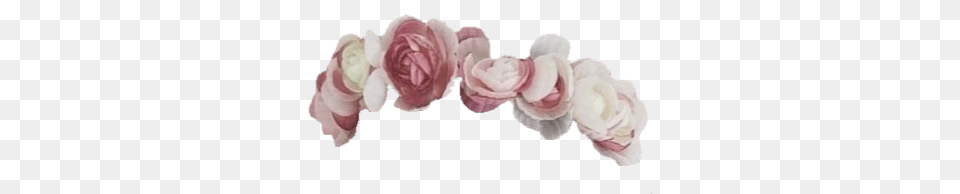 Small Flower Crown, Petal, Plant, Rose, Accessories Free Transparent Png