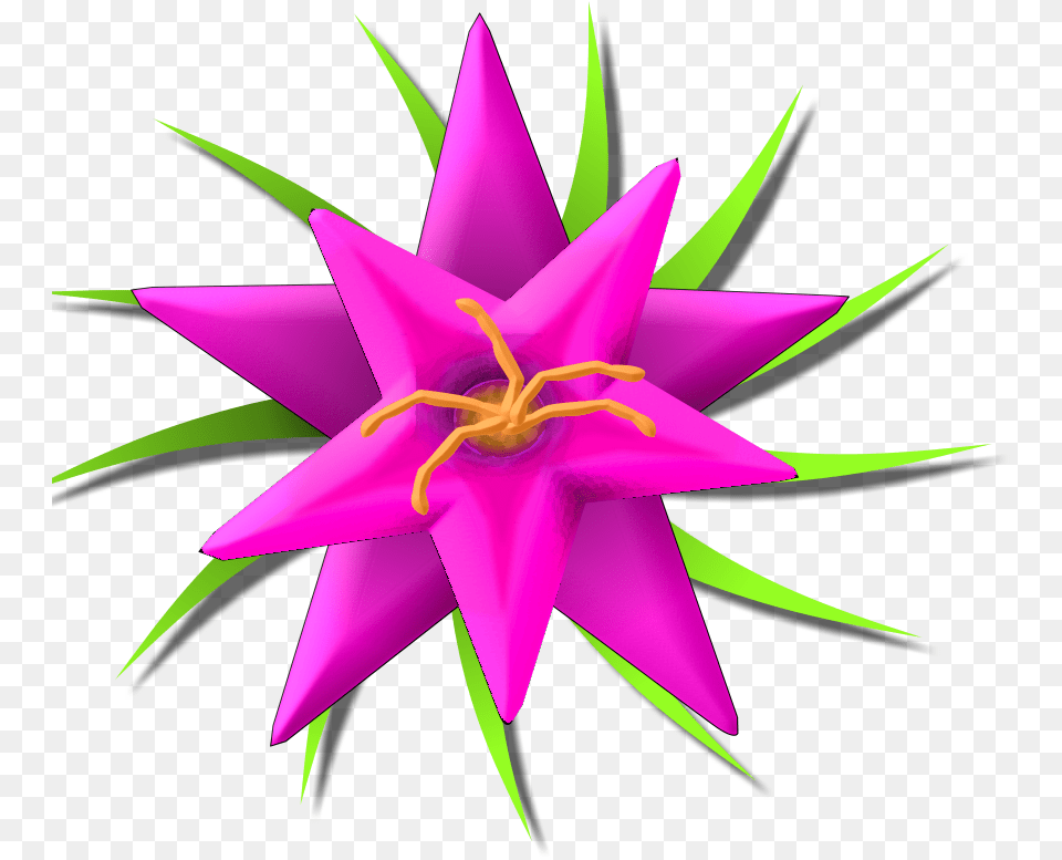 Small Flower Images, Star Symbol, Symbol, Plant, Purple Png