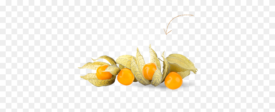 Small Golden Berry, Food, Fruit, Leaf, Plant Png Image