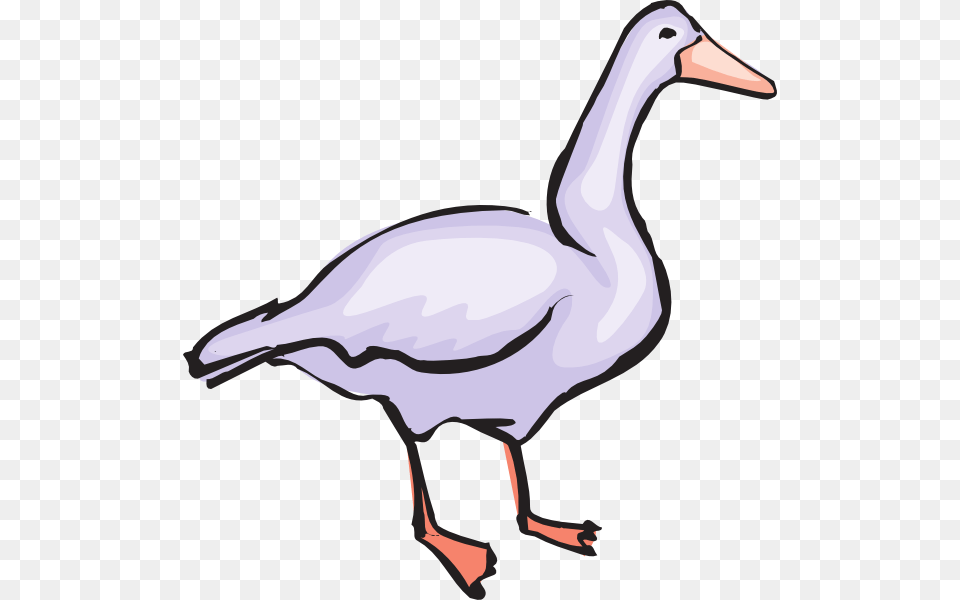 Small Goose Art, Animal, Bird, Waterfowl, Fish Free Png Download