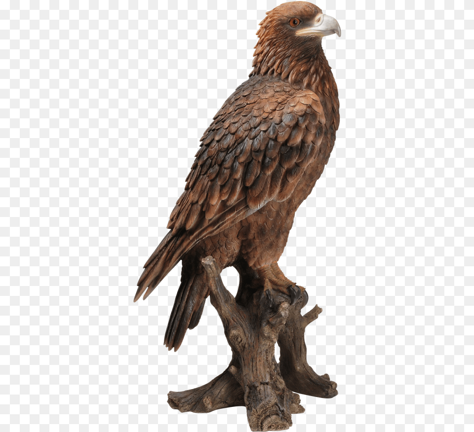 Small Image Of Golden Eagle Birds Of Prey Ornament, Animal, Beak, Bird, Vulture Free Transparent Png