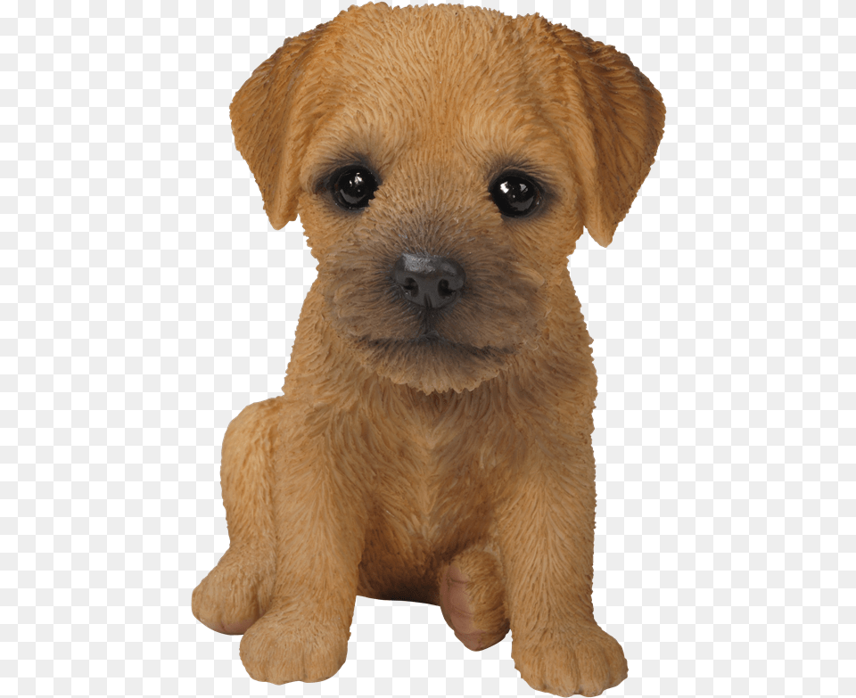 Small Image Of Pet Pals Border Terrier Puppy Baby Border Terrier Dog, Animal, Canine, Mammal, Teddy Bear Free Png Download