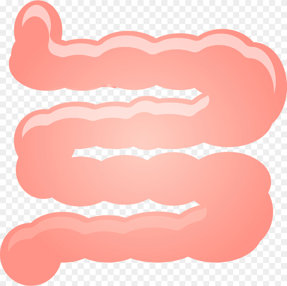 Small Intestine Clipart, Body Part, Mouth, Person Free Png Download