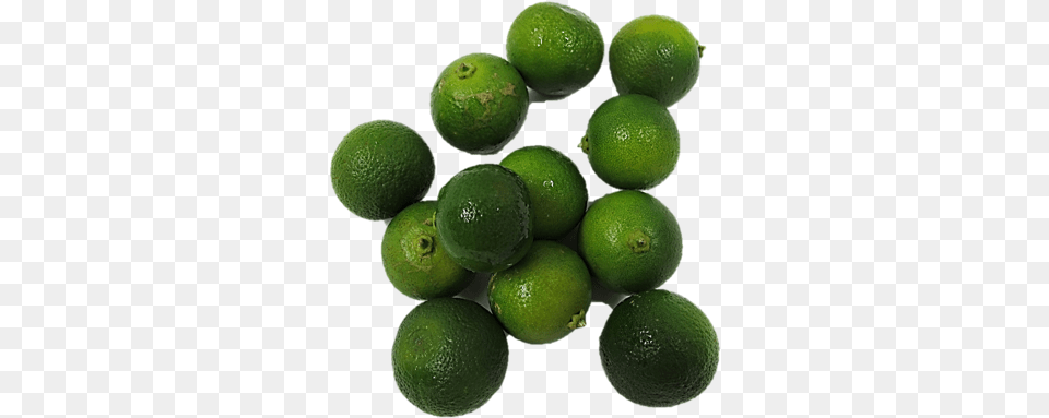 Small Limes 1 Bag Limes Small, Citrus Fruit, Food, Fruit, Lime Free Png Download