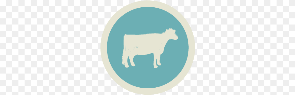Small Livestock Animal Figure, Cattle, Cow, Mammal Free Transparent Png