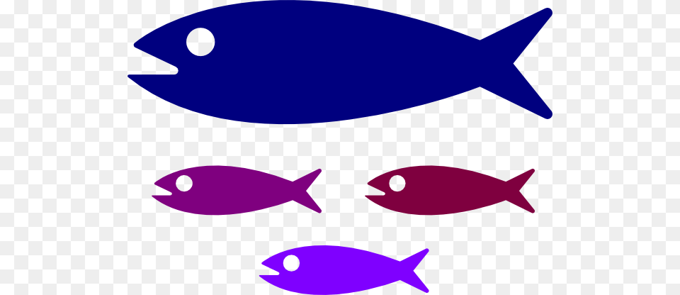 Small Medium Large Fish, Animal, Sea Life, Tuna, Shark Png Image